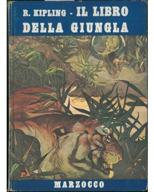 Il Libro della giungla. Storie di Moogli. Traduzione di A. Marrucchi, illustrazioni di  M. e E. Detmold.