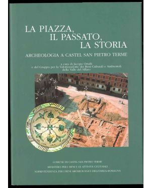 La piazza, il passato, la storia. Archeologia a Castel San Pietro Terme. 